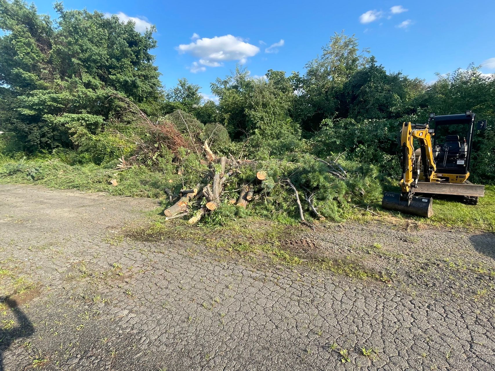 Yellow excavator beside a pile of cut tree branches on a gravel lot under a blue sky