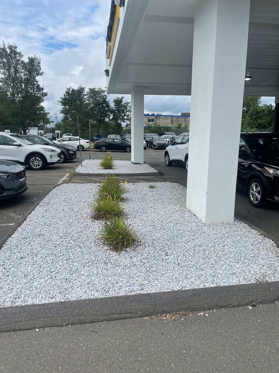 Car dealership lot with white gravel landscaping, small shrubs, parked cars, and a building overhang