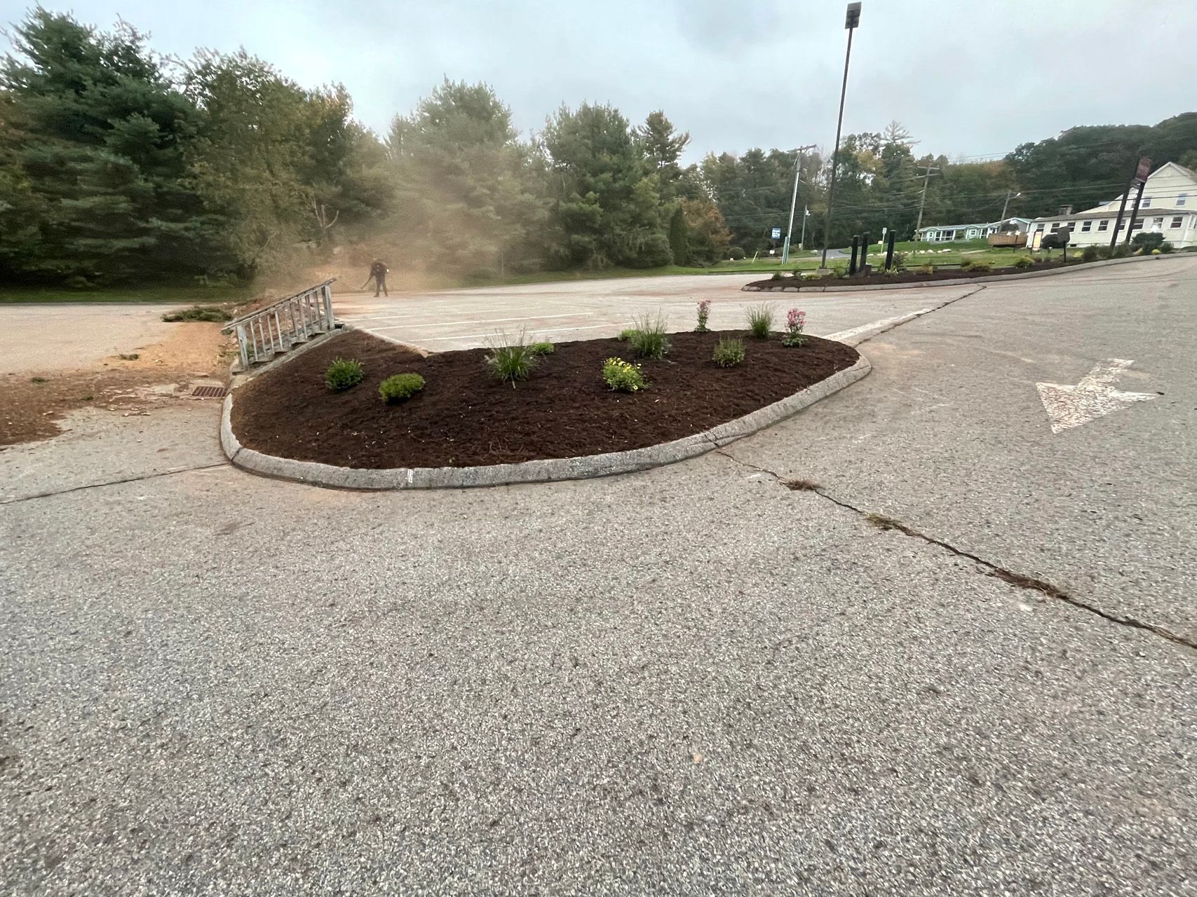 Landscaped traffic island with small plants in a parking lot, with dust or smoke in the background