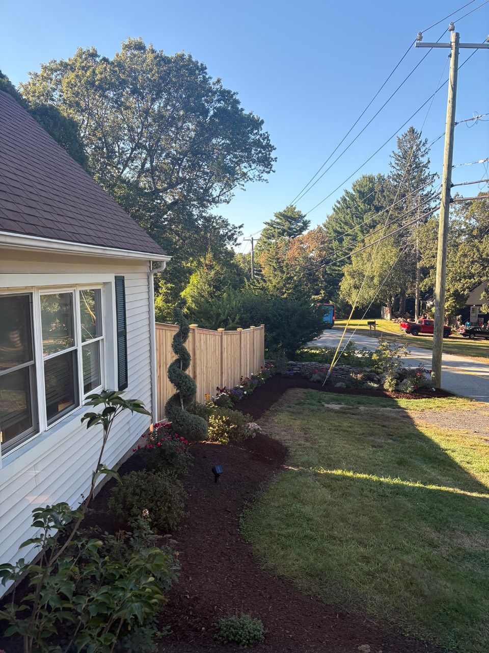 Front yard landscaping beside a white house with shrubs, lawn, a fence, and utility poles under a clear blue sky