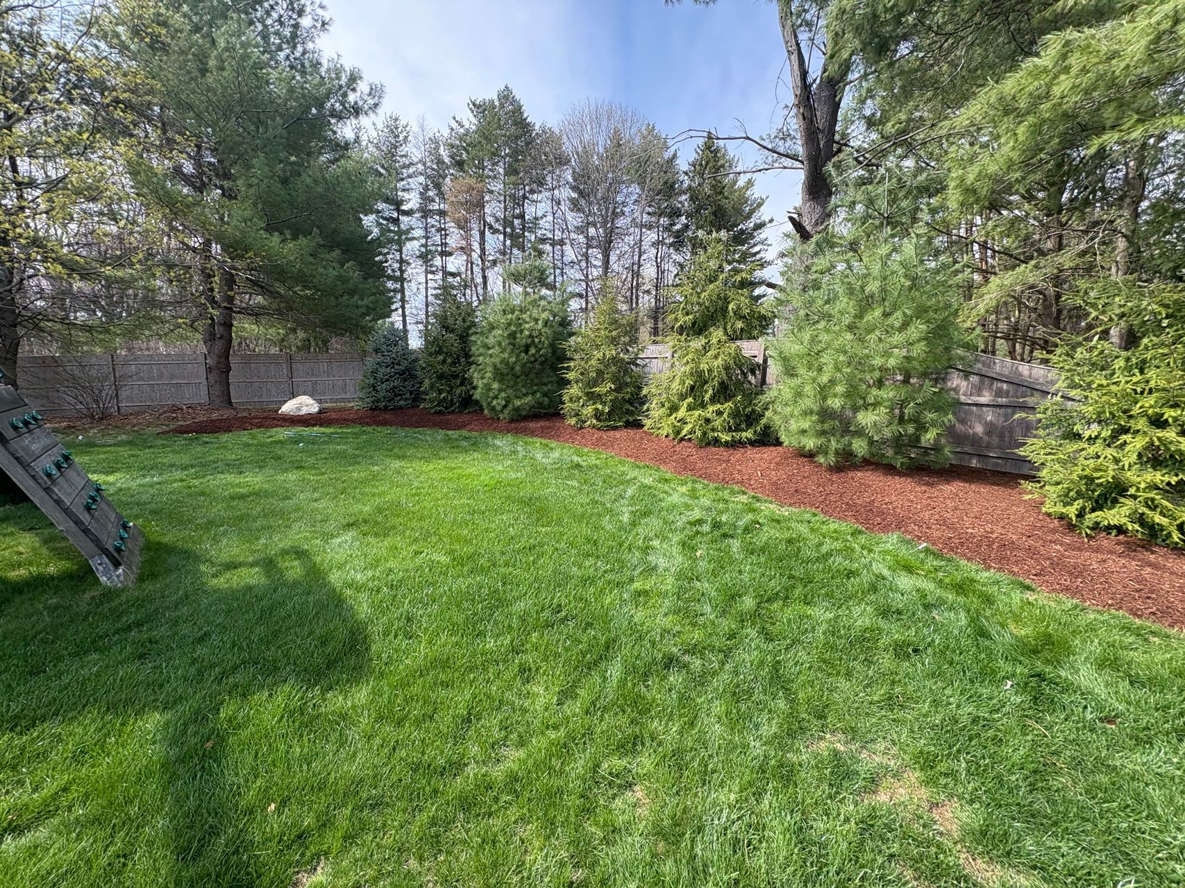 Green backyard lawn with trees, shrubs, and a mulched border in daylight