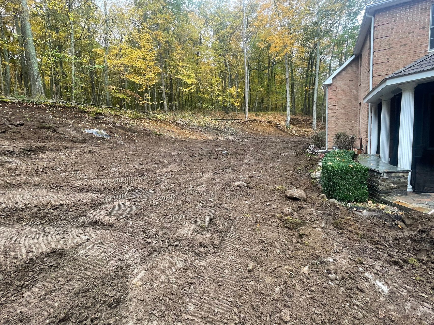 Wooded backyard with a bare dirt slope beside a brick house and white porch columns