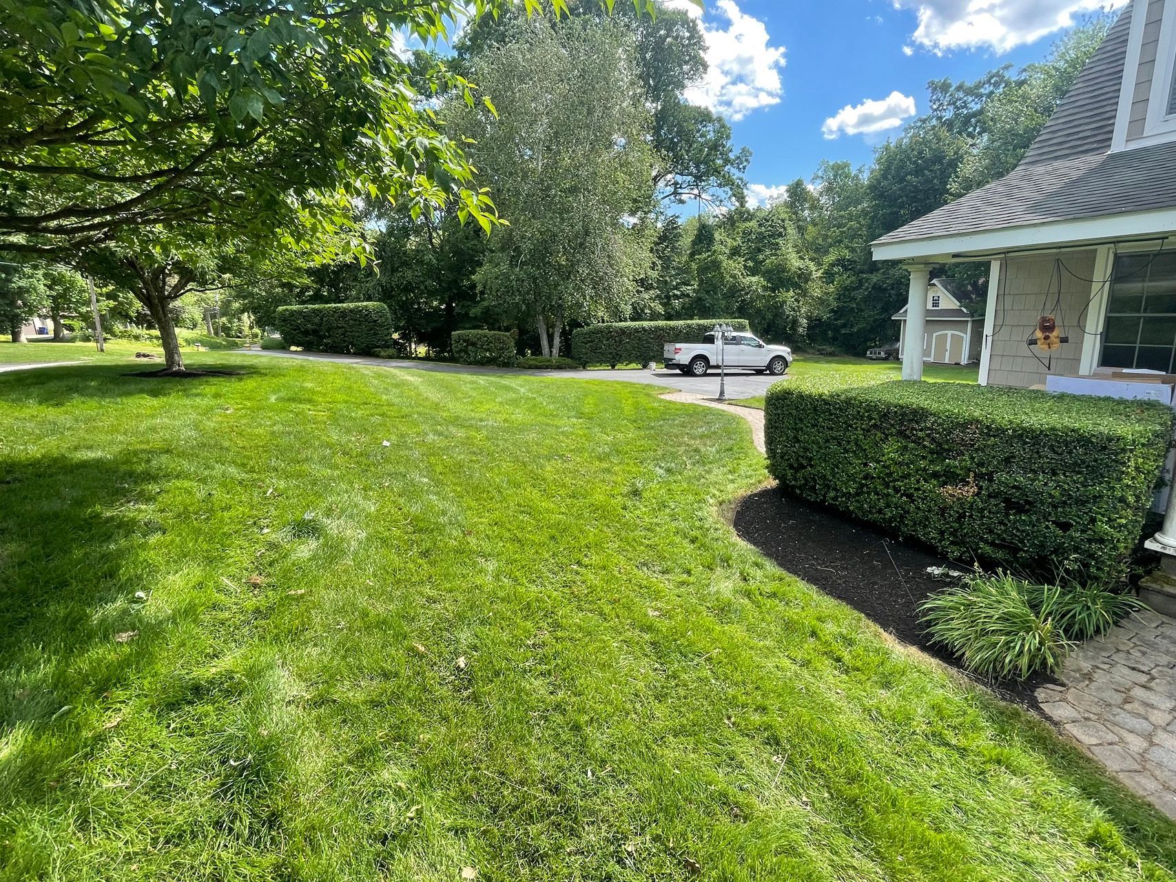 Sunny lawn beside a house with shrubs, a parked white truck, and trees under a blue sky.