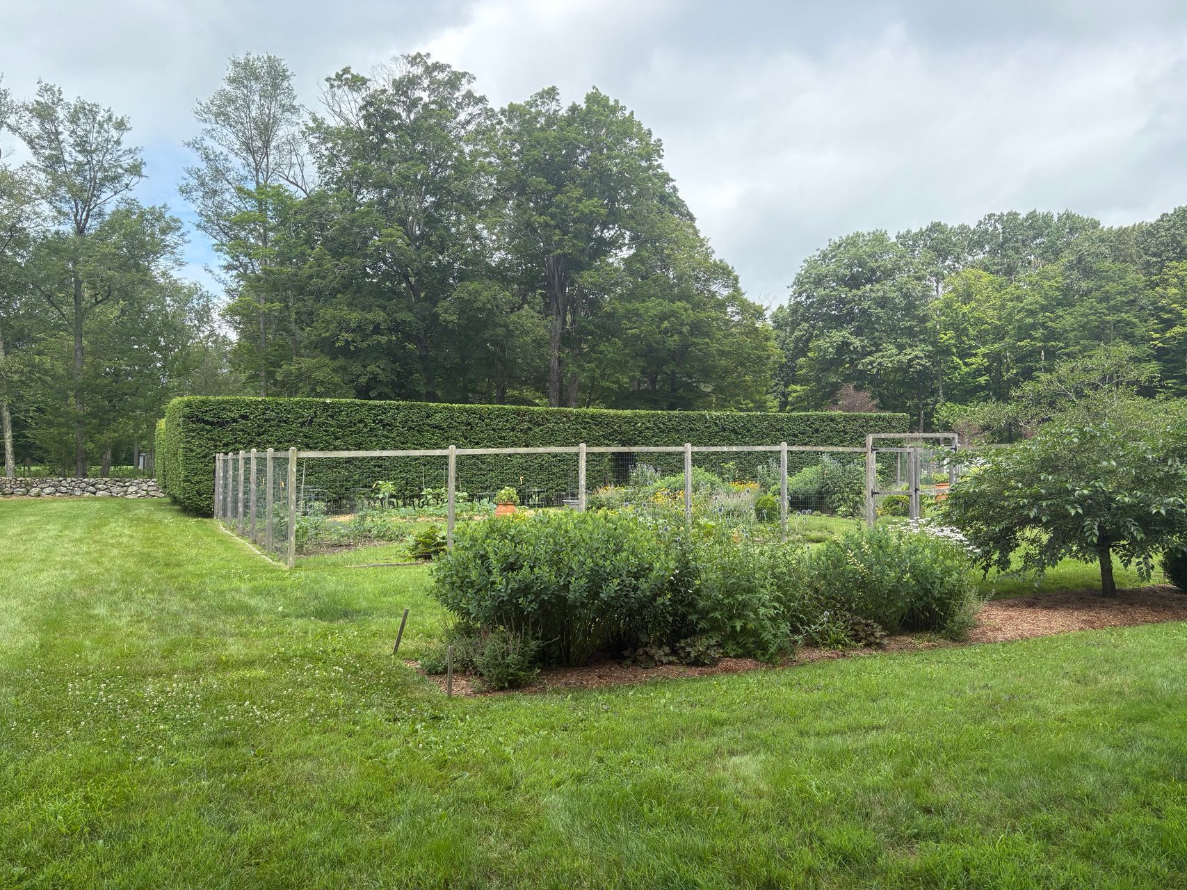 Garden with a white trellis structure, green lawn, shrubs, and tall trees under a cloudy sky