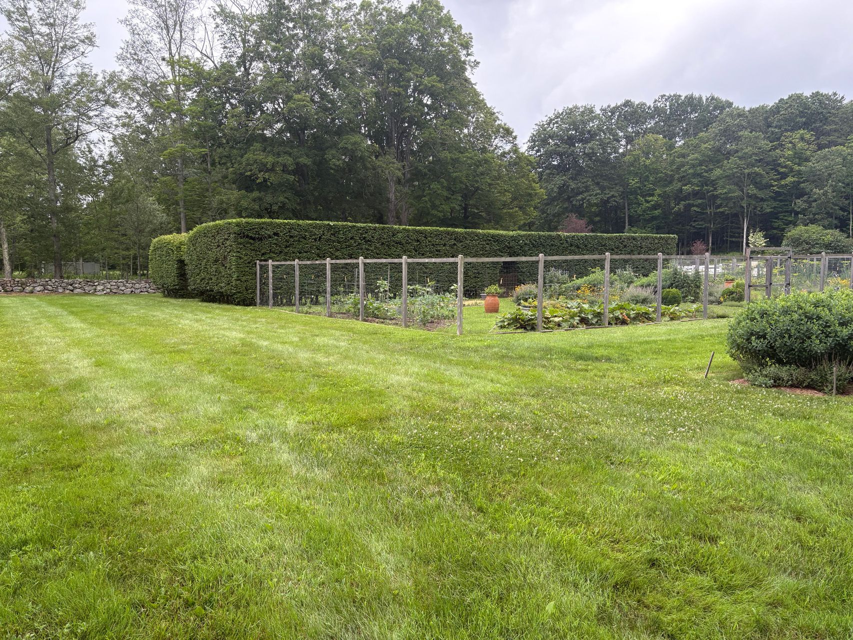 Grassy park with fenced community garden plots, trees, and a cloudy sky