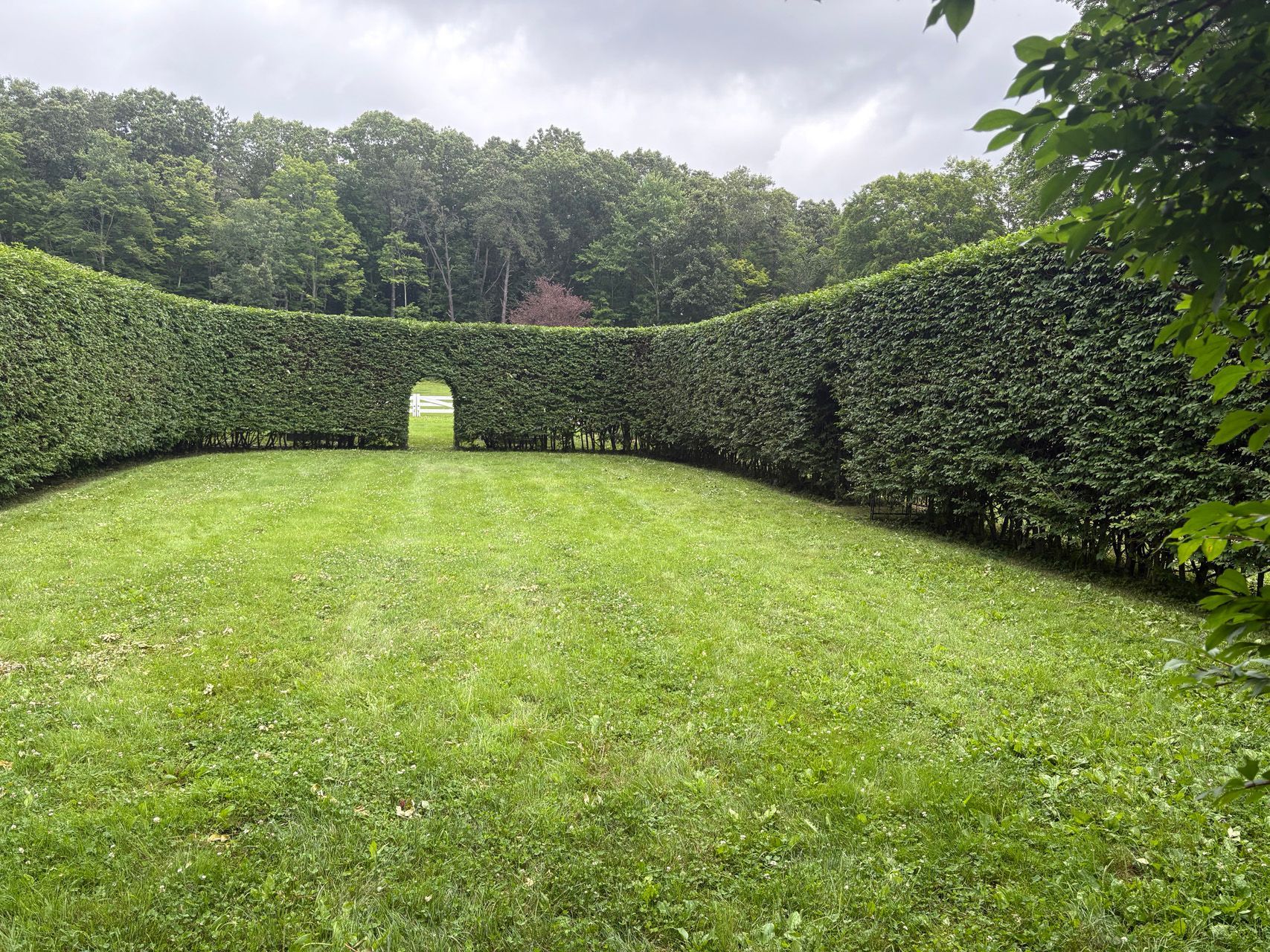 Grassy hedge maze with a small arched opening, surrounded by dense green trees under a cloudy sky