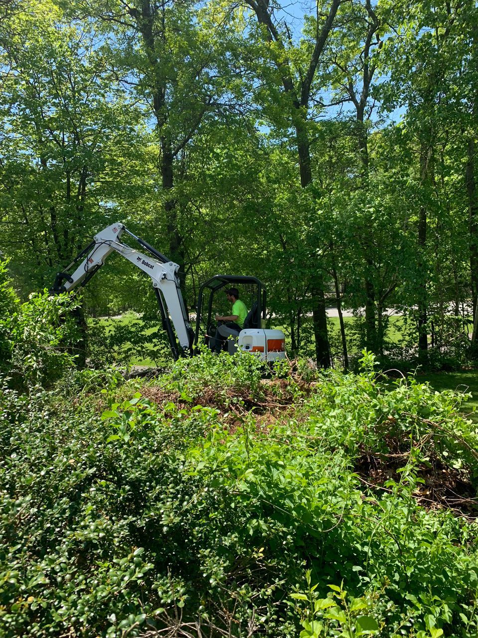 White excavator in dense green woods, clearing brush in a sunny forested area.