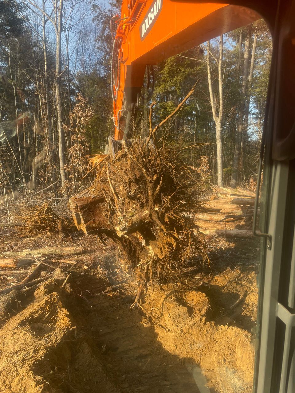 Orange excavator bucket lifting muddy roots and soil in a wooded area.