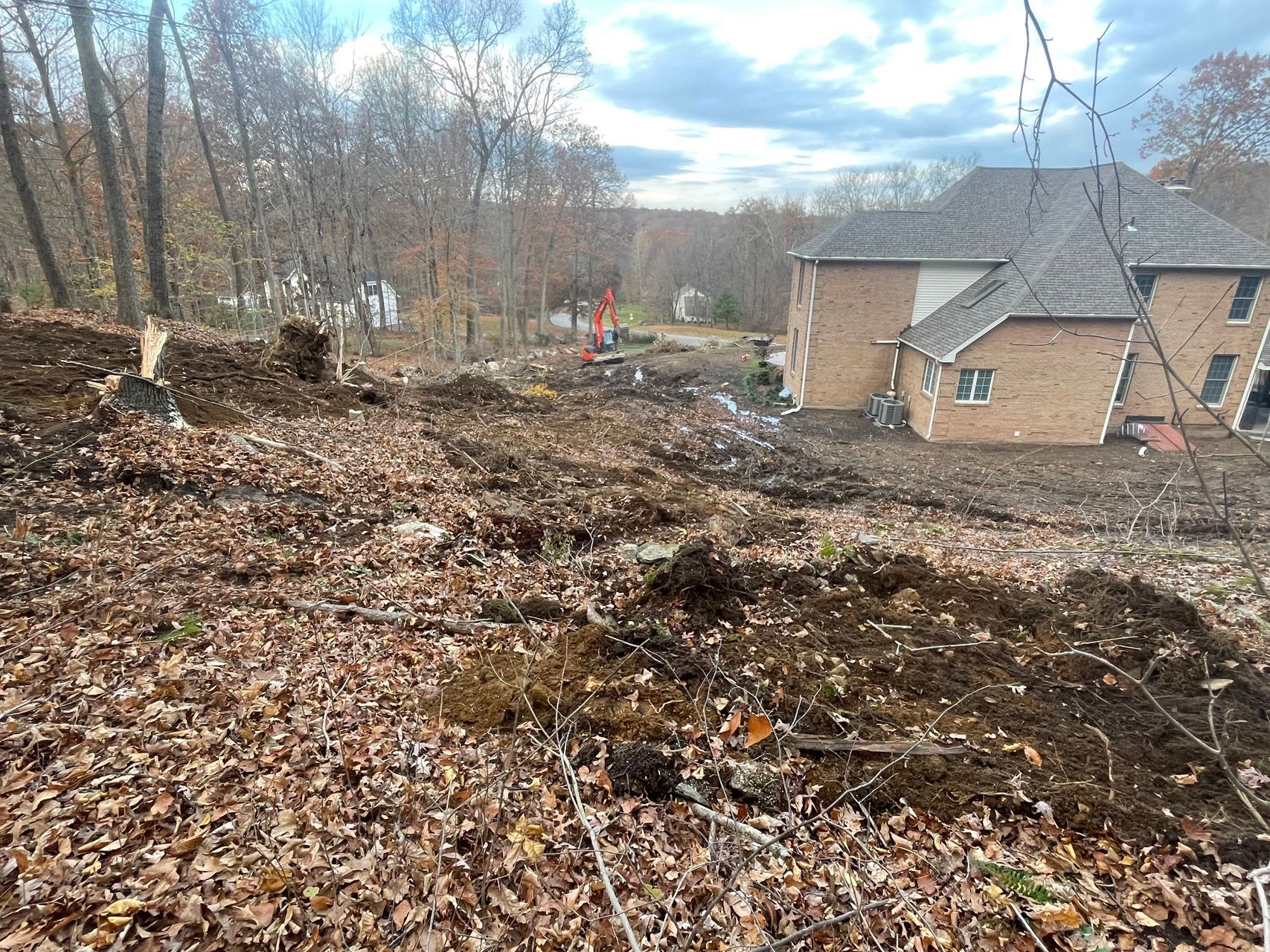 Leaf-covered wooded hillside beside a tan brick house under a cloudy sky, with a small red figure in the distance