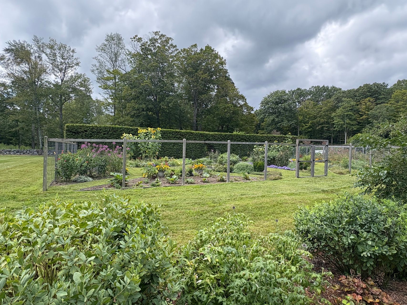 Community garden beds with plants and flowers under a cloudy sky, surrounded by grass and shrubs