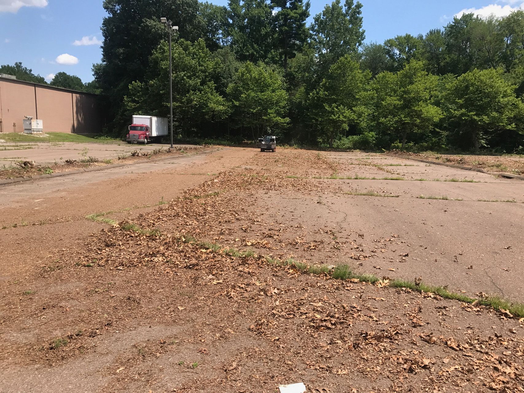 Empty lot with dry leaves, dirt road, trees, and a parked red truck near a building