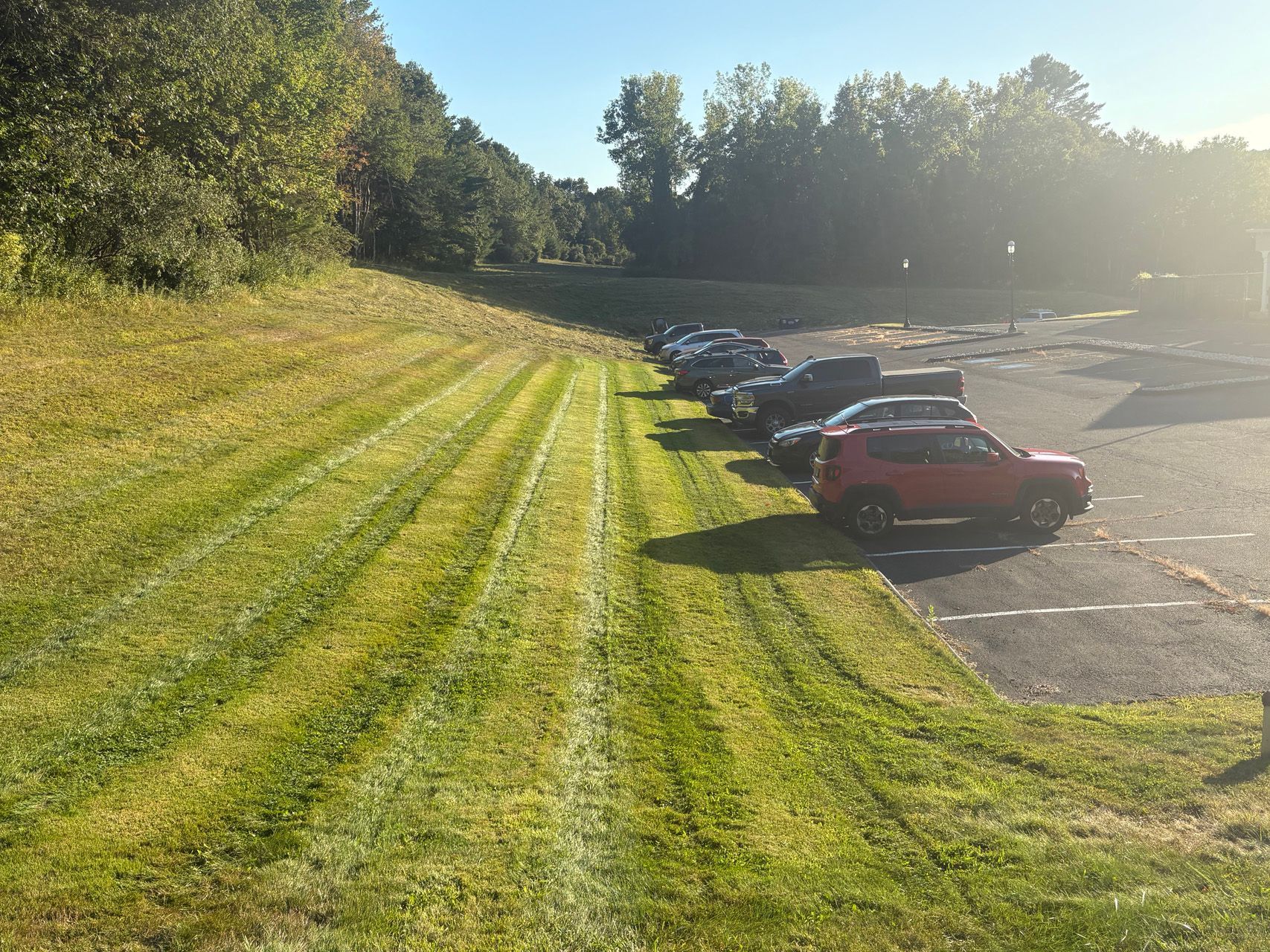 Parking lot beside a grassy field and trees, with several cars lined up in bright sunlight.