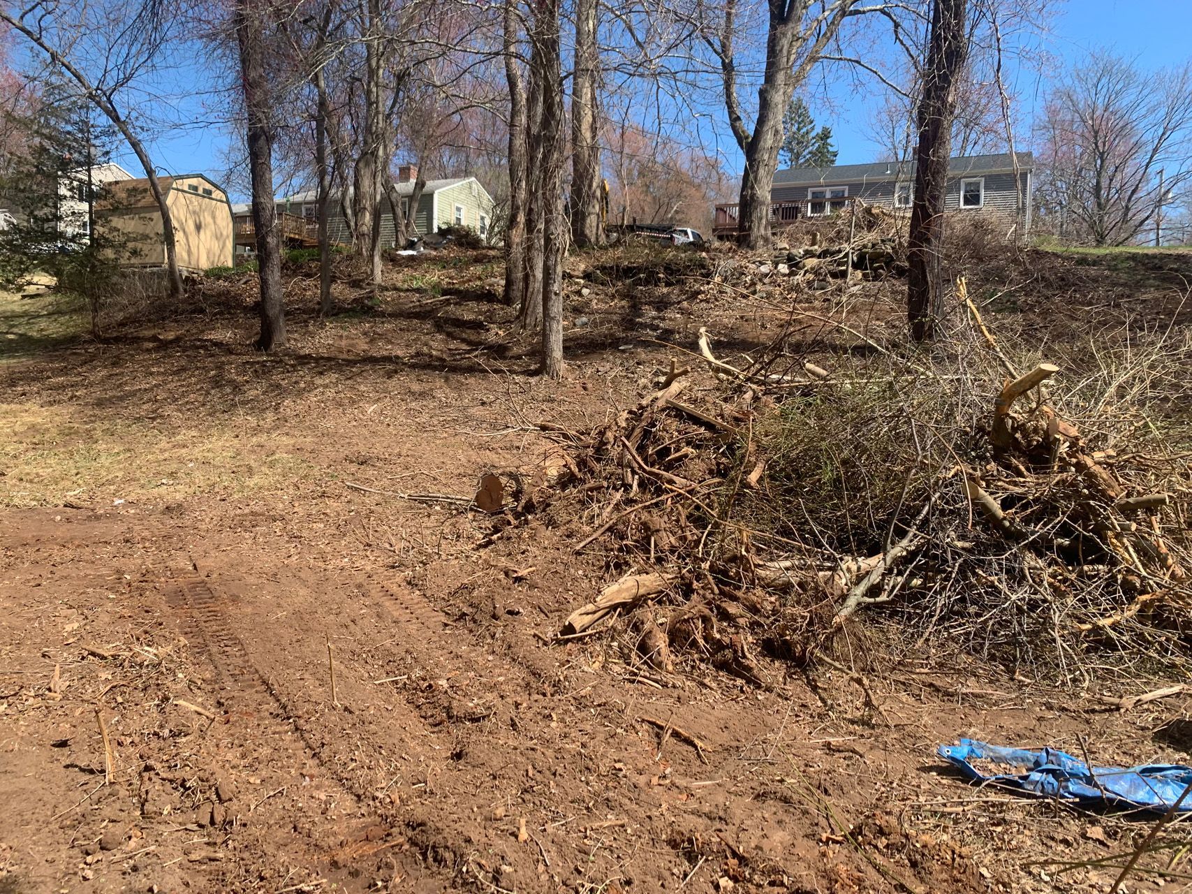 Bare dirt lot with leaf piles and bare trees near houses under a clear sky