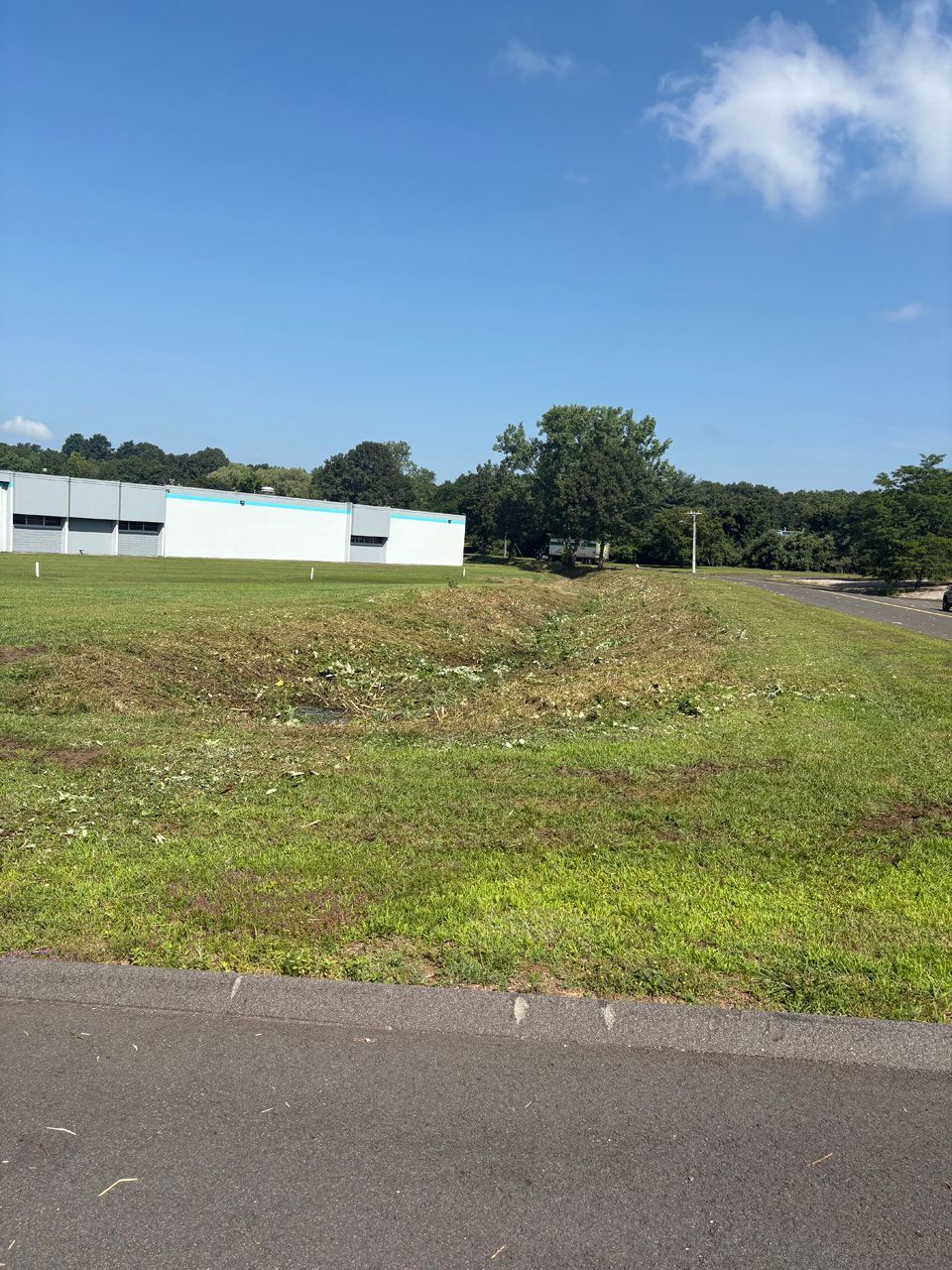 Grassy vacant lot beside a road, with a white building and trees under a blue sky.