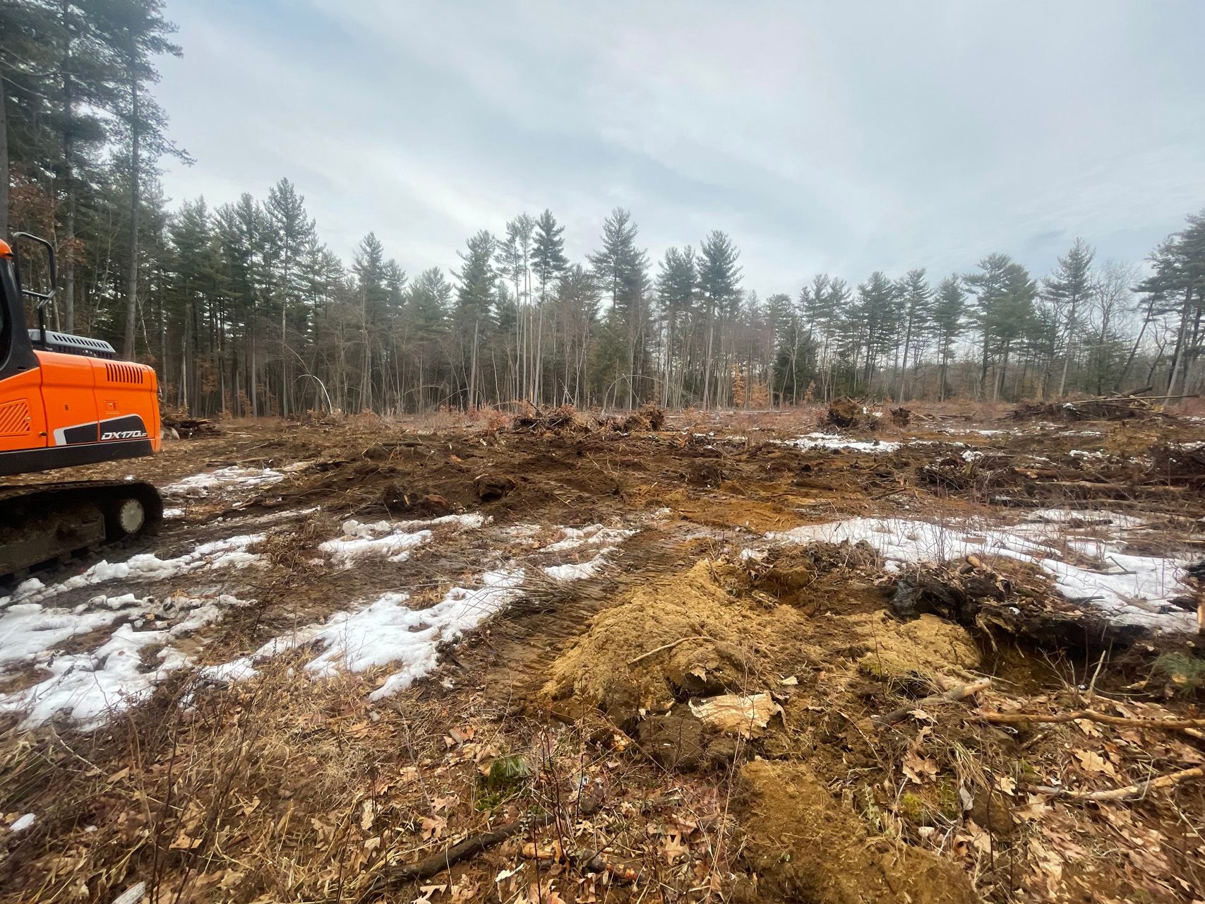 Cleared muddy forest site with patches of snow and an orange excavator on the left