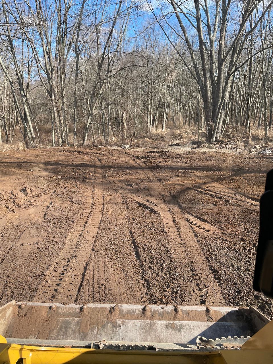 Muddy dirt road with tire tracks in a leafless wooded area, viewed from a vehicle bed.