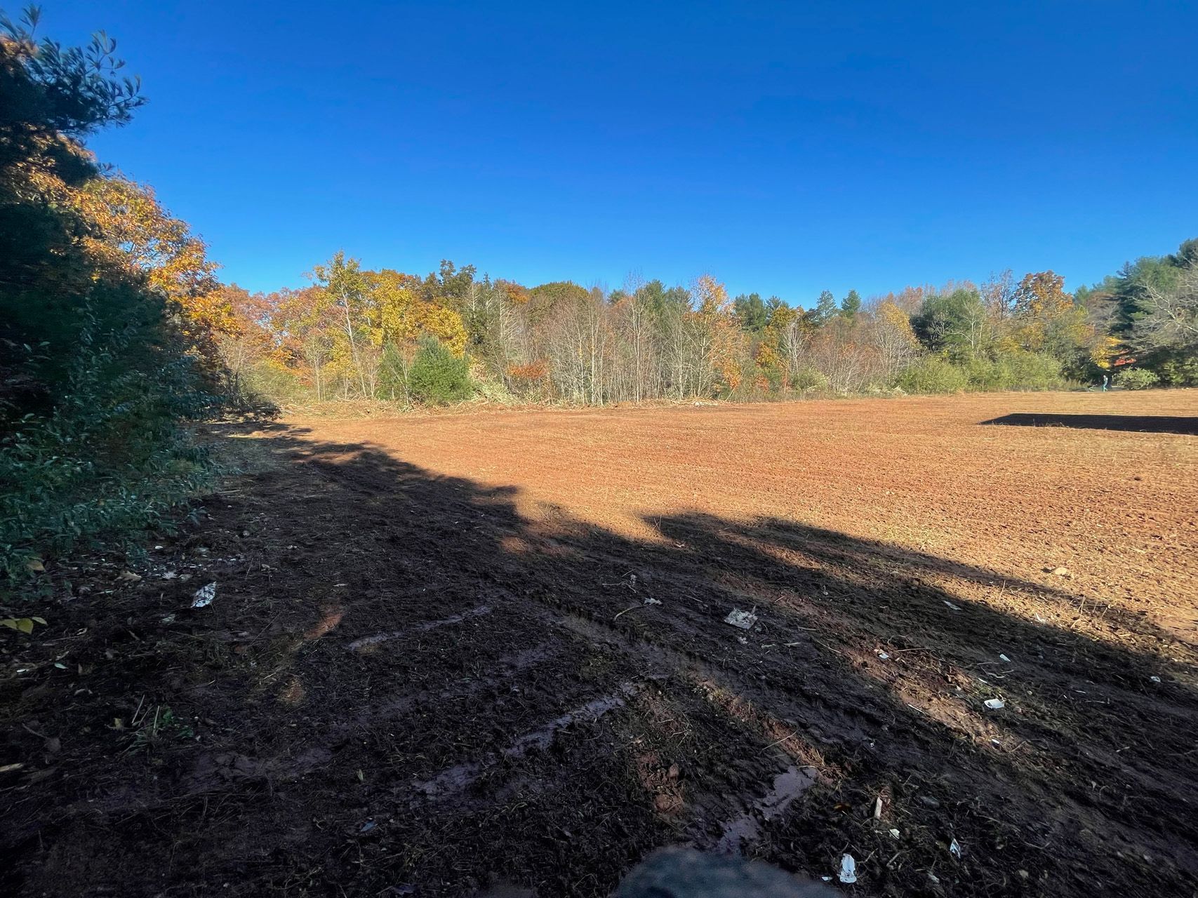 Sunny plowed field bordered by autumn trees under a clear blue sky