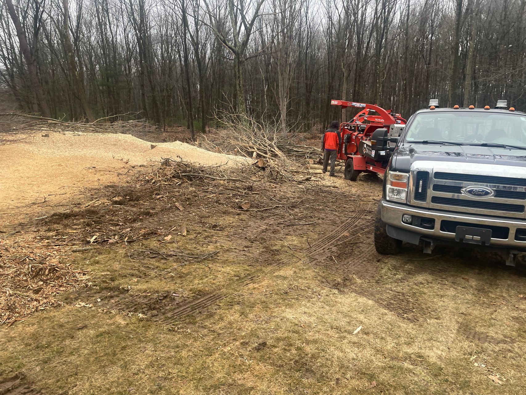 Truck and red wood chipper beside a pile of mulch in a wooded clearing