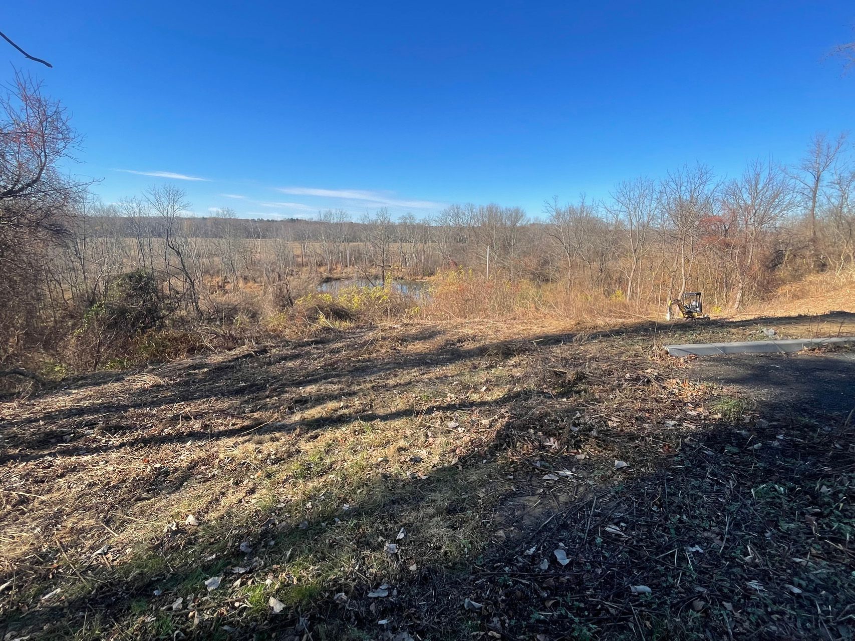Leaf-strewn dirt trail through sparse brush under a bright blue sky