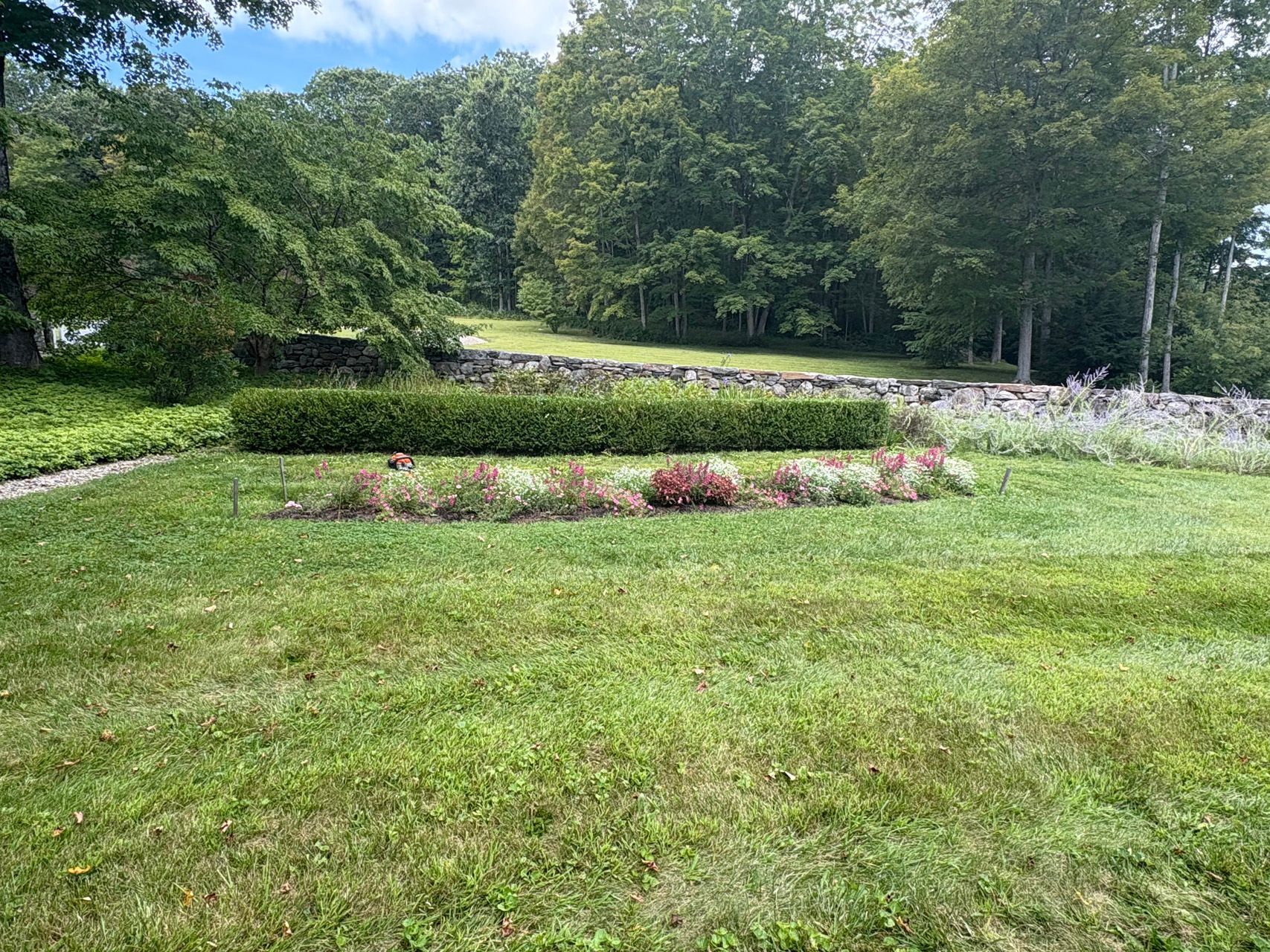 Lush garden with green lawn, flower beds, hedges, and trees under a bright sky