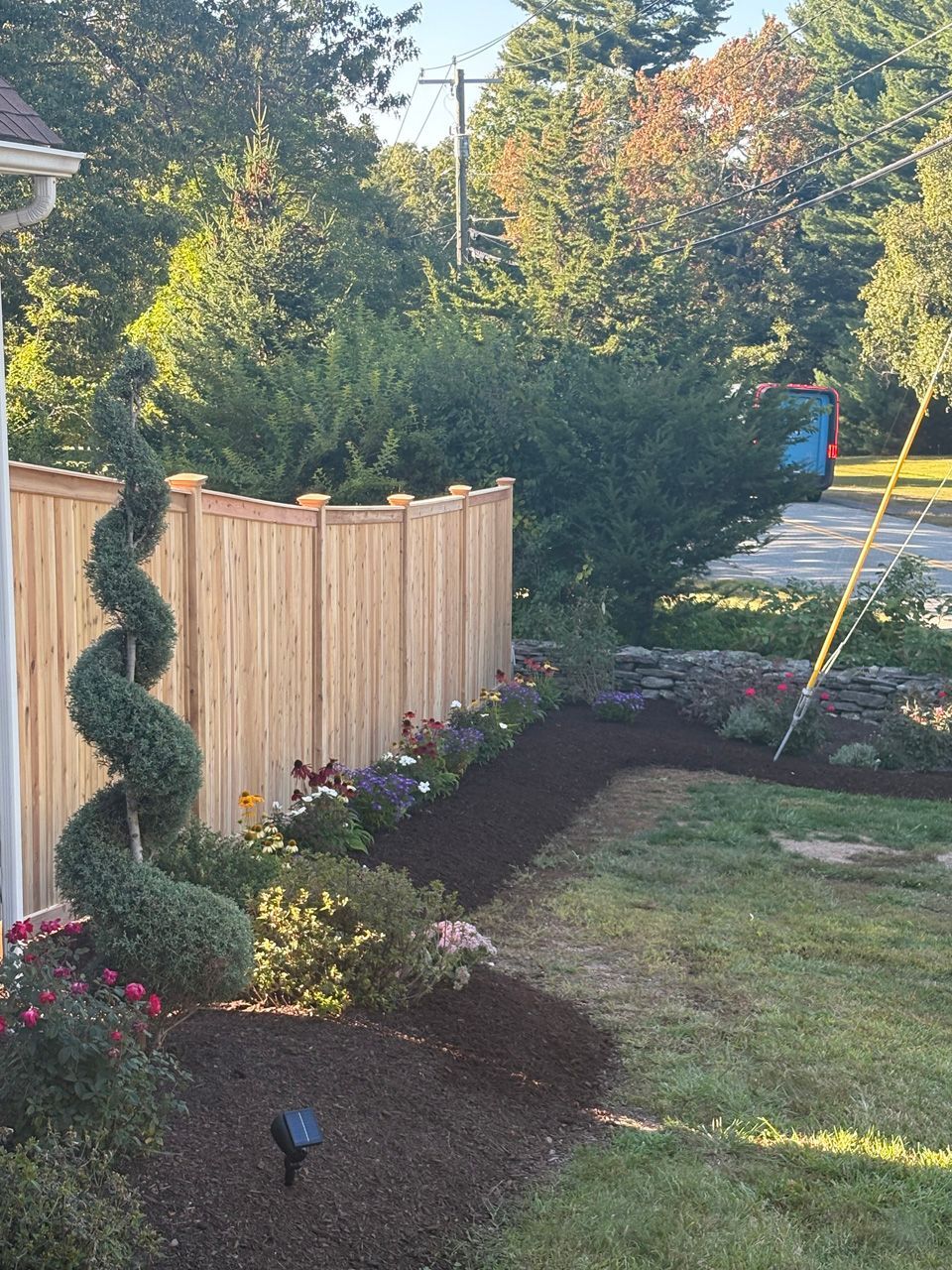 Curved garden bed with mulched shrubs, a spiral topiary, wooden fence, and a driveway beside a landscaped yard