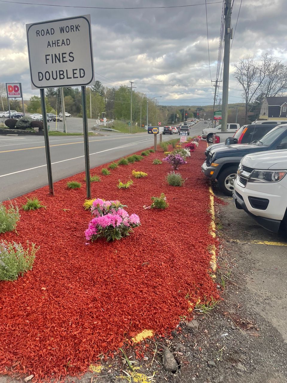 Flower bed with red mulch and pink flowers beside a parking lot, with a roadside sign reading “fines doubled.”