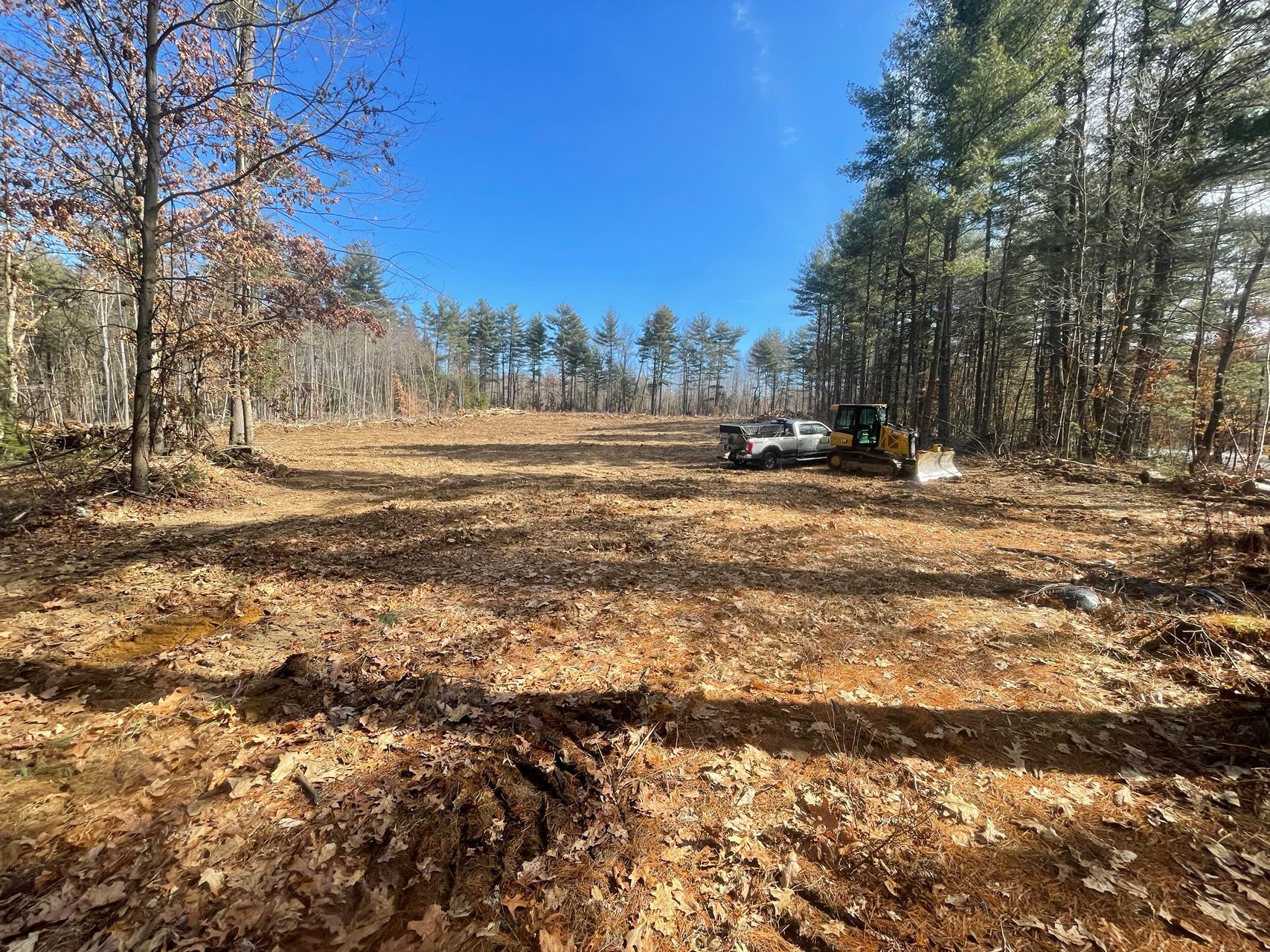 Cleared dirt trail through a wooded area under a bright blue sky, with a small utility vehicle on the right.