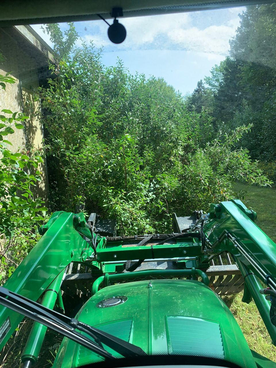View from a green tractor driving through dense bushes on a sunny path