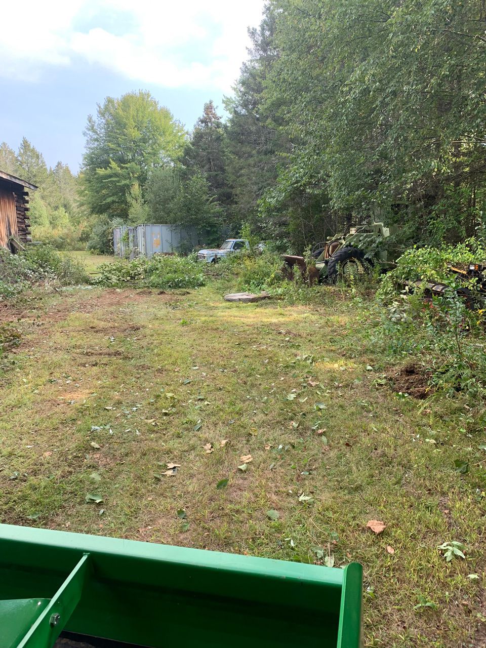 Grassy backyard clearing with trees and shrubs, seen from a green tractor or mower in the foreground