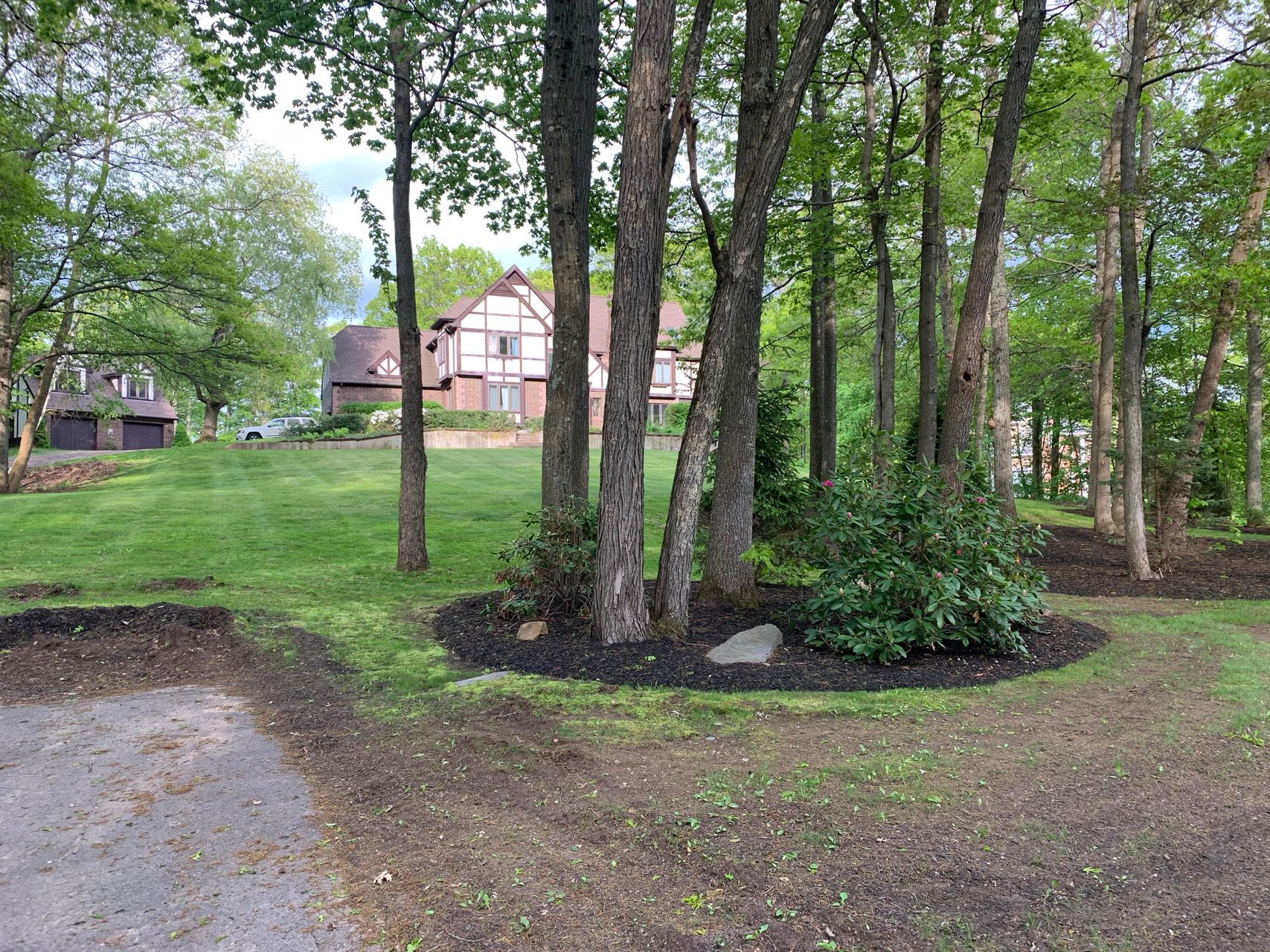 Wooded park with dirt path, trees, and houses in the background