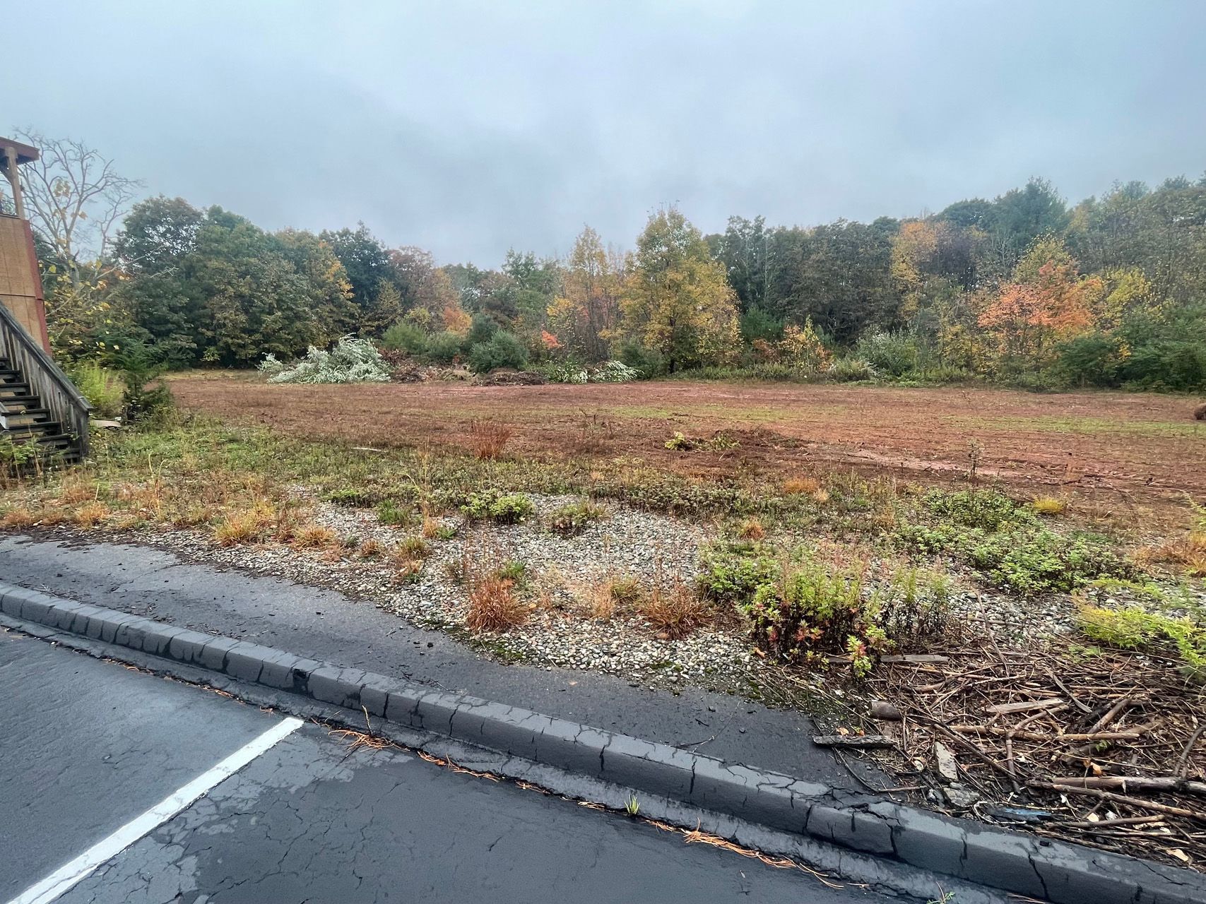 Roadside view of an open field with autumn trees in the background under an overcast sky