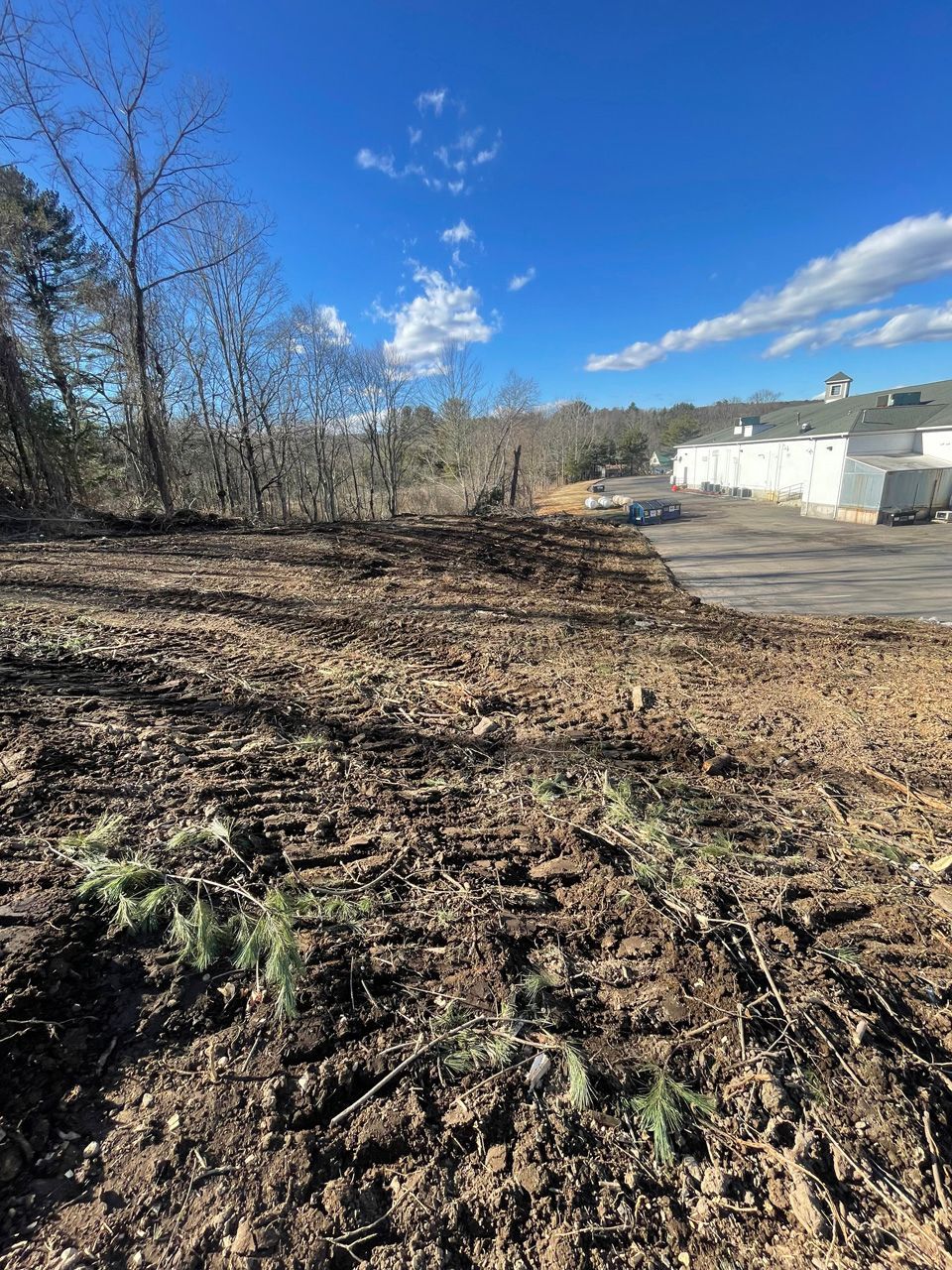 Cleared dirt lot beside trees under a bright blue sky, with white industrial buildings in the background