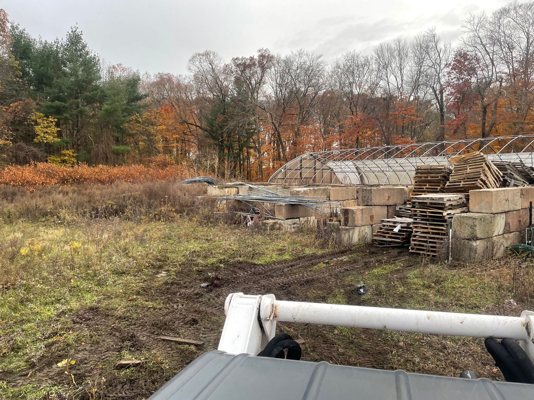 Overgrown field with concrete ruins and autumn trees under a gray sky