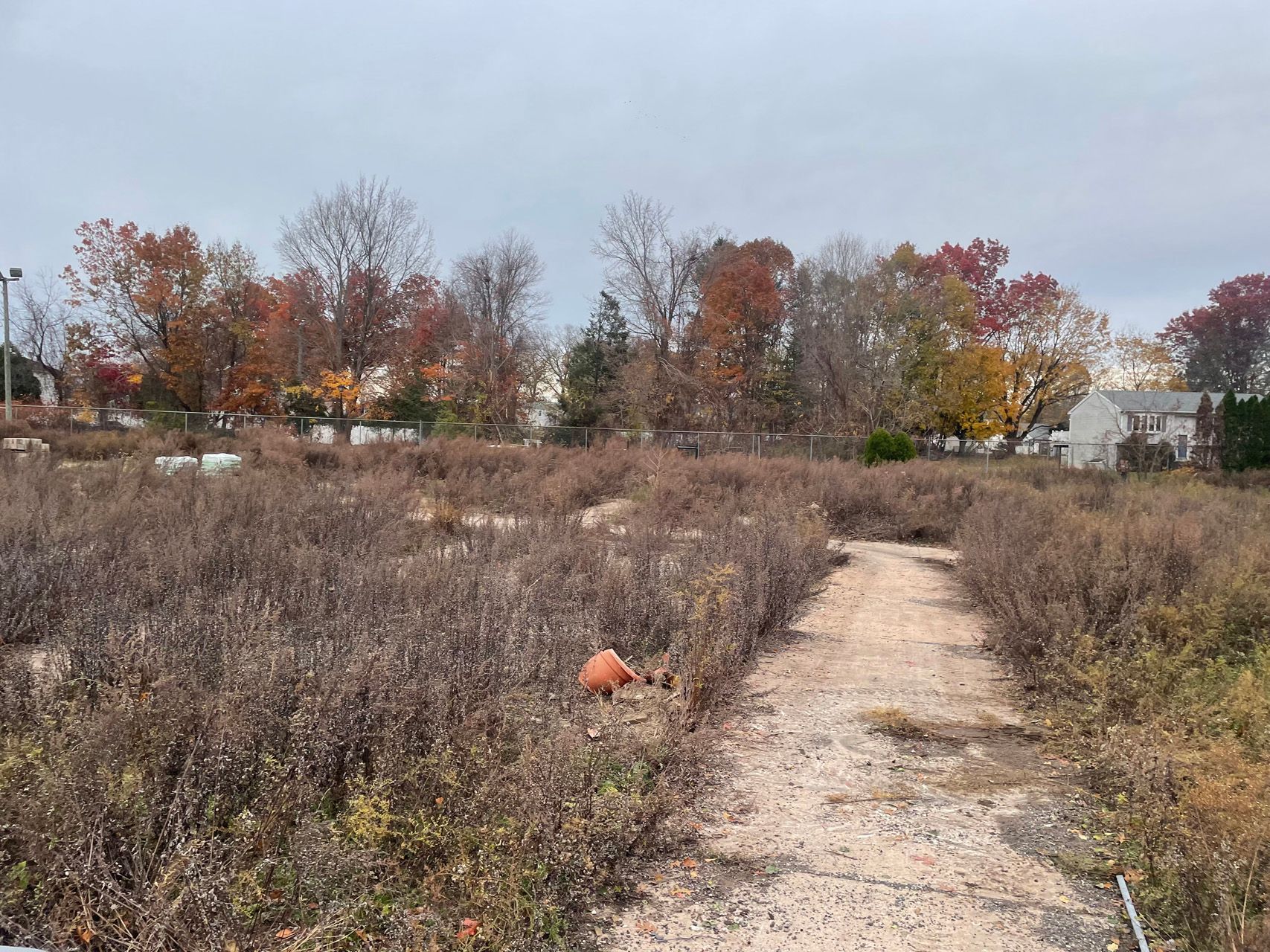 Overgrown field with a gravel path leading toward trees and houses in autumn