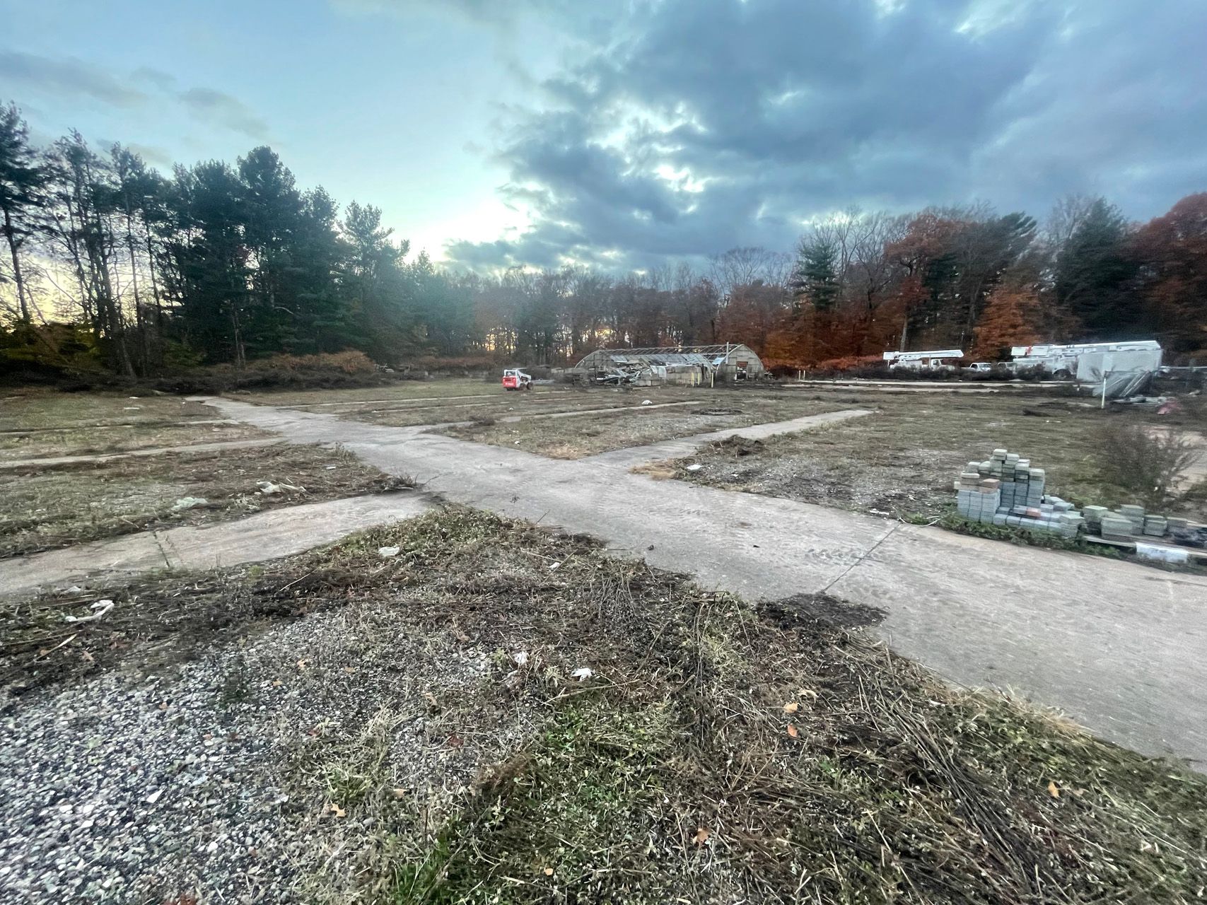 Dirt road through a cleared, wooded lot under a cloudy evening sky