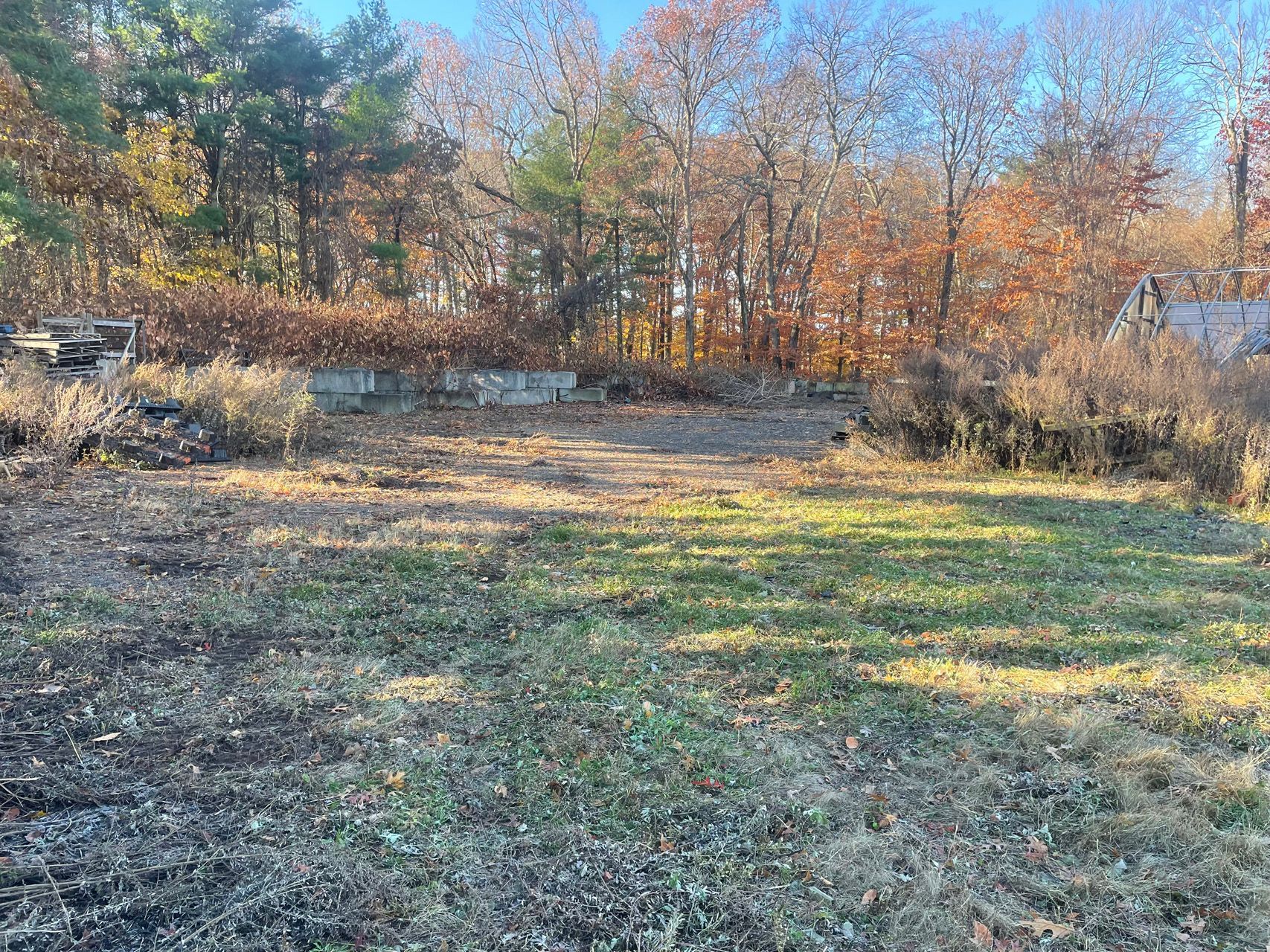 Grassy clearing beside a wooded hillside with autumn trees and fallen leaves under bright sunlight