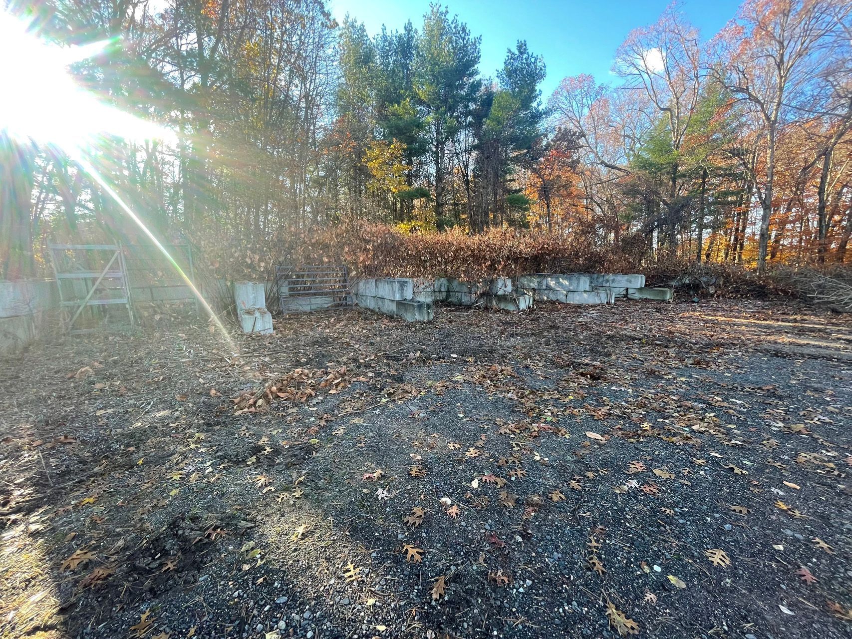 Sunny wooded clearing with gravel ground and a low stone wall under autumn trees