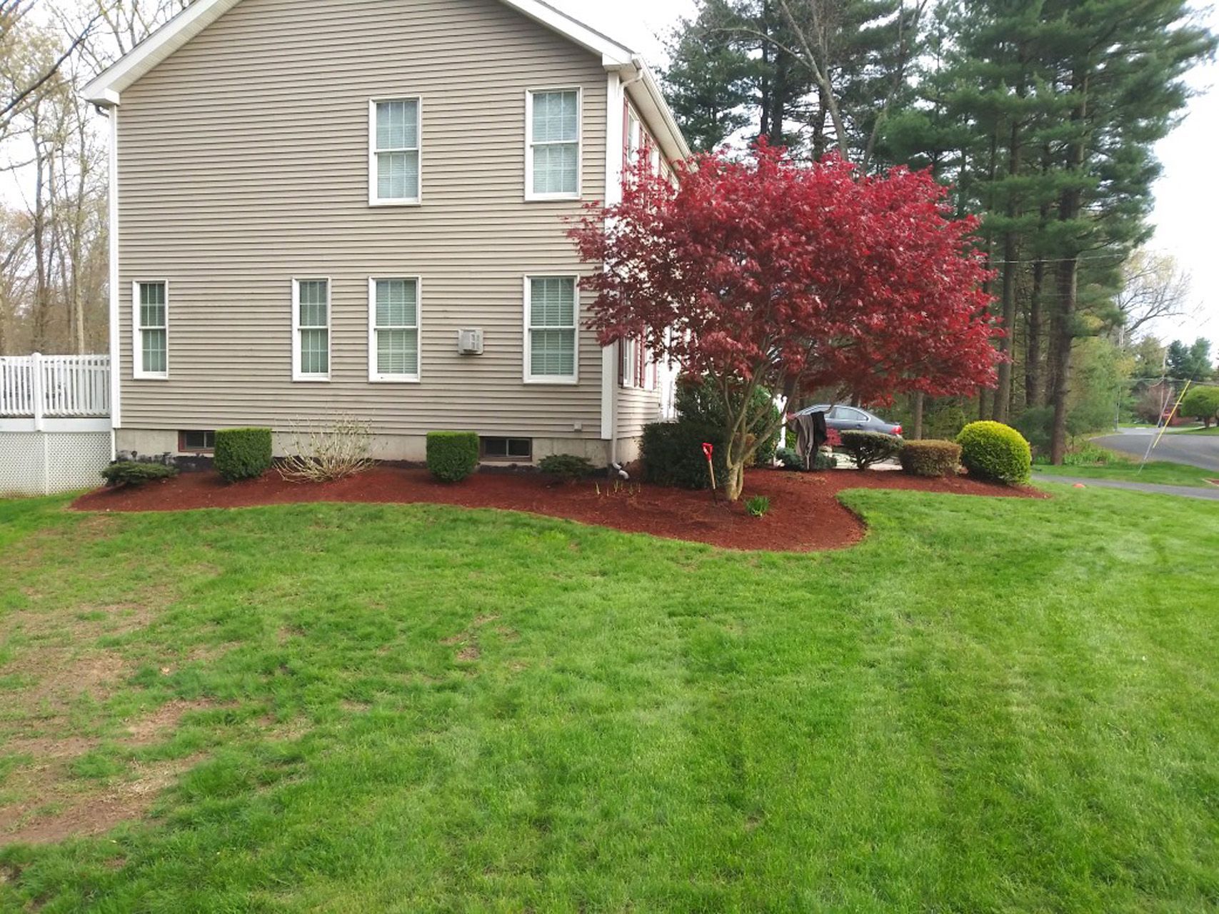 Suburban beige house with red flowering tree and green lawn on a cloudy day