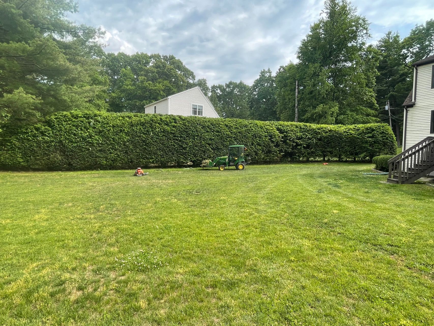 Grassy backyard with a tall hedge, trees, a white house, and a small red toy near the center.