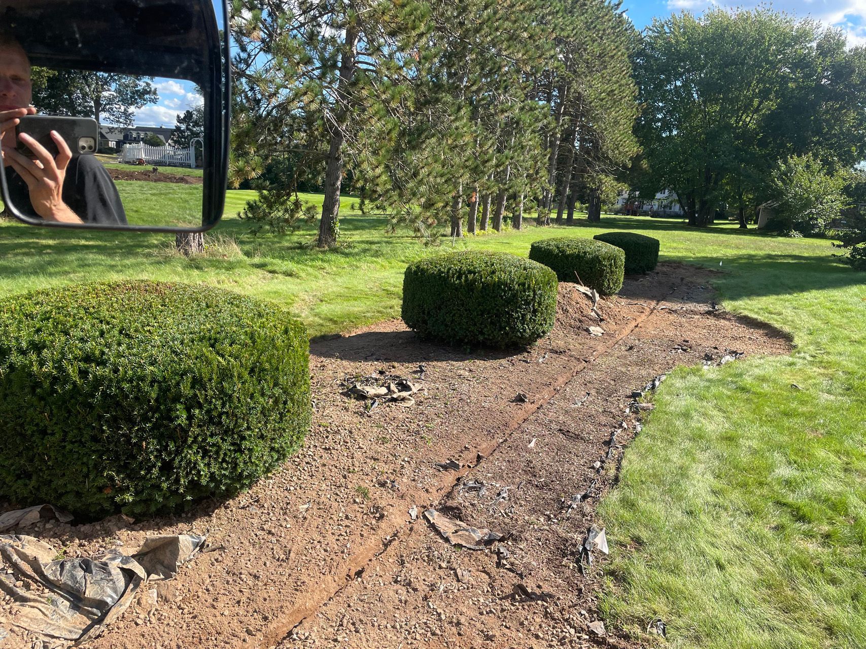 Trimmed boxwood shrubs along a dirt path in a sunny park with green grass and trees.