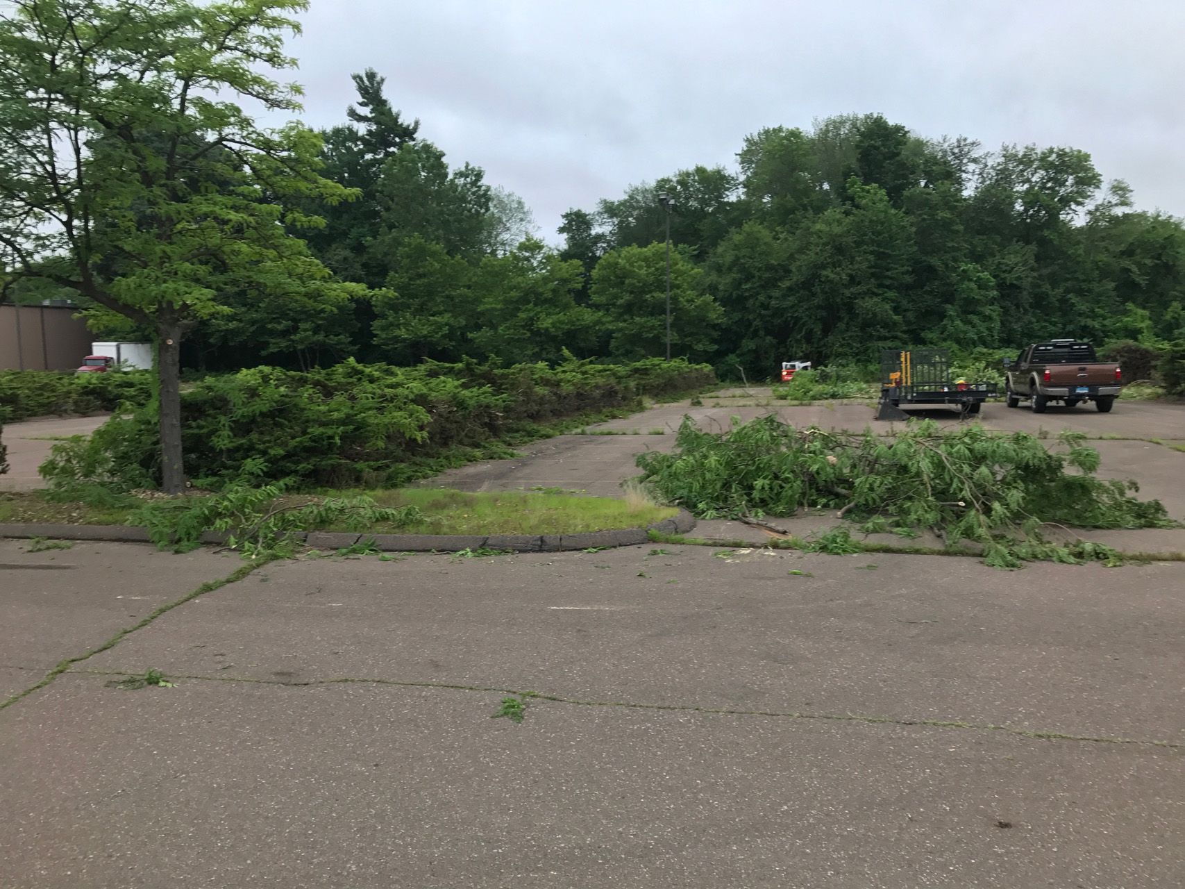 Storm-damaged street blocked by fallen tree limbs and branches, with parked trucks in the background