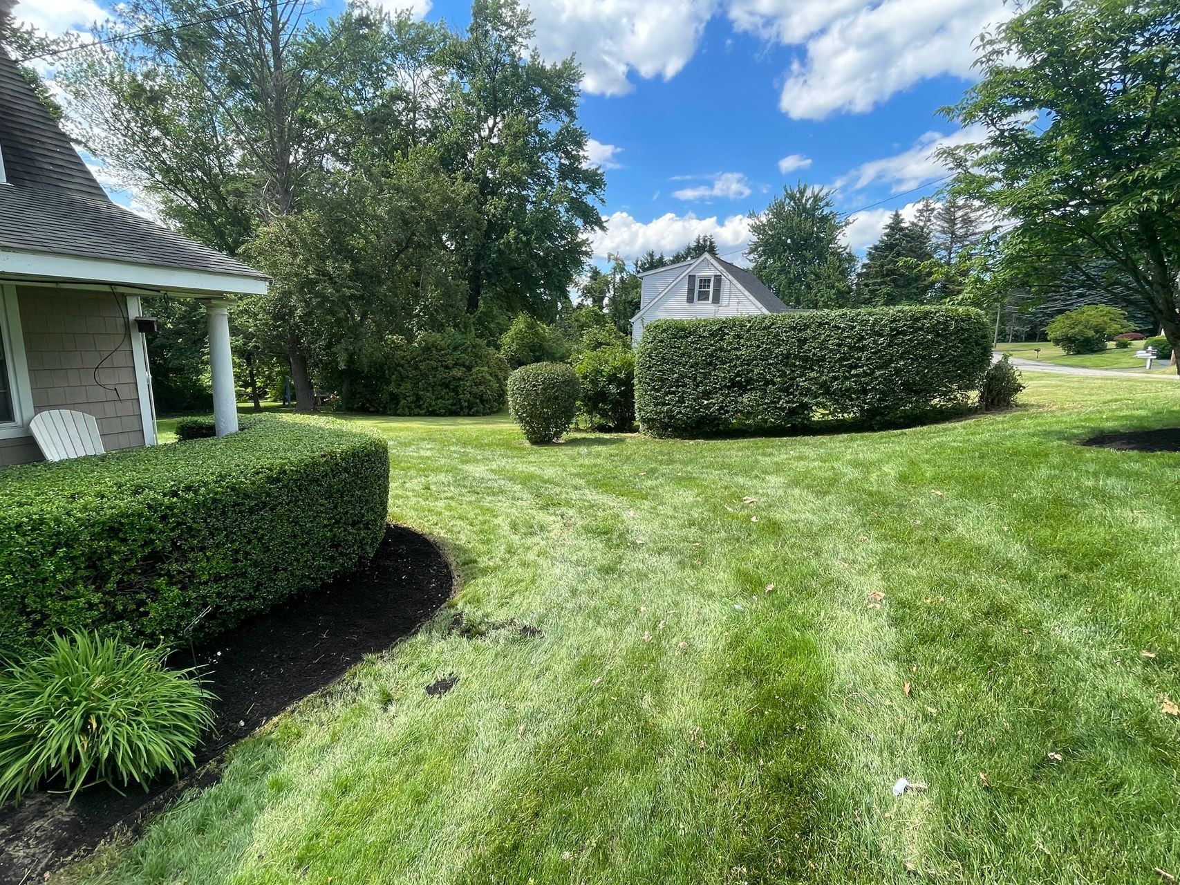 Sunny suburban lawn with neatly trimmed hedges, trees, and a white house under a blue sky
