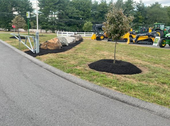 Roadside landscaping with mulch beds, young trees, and yellow construction equipment in the background
