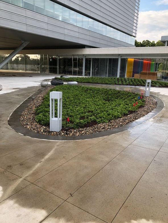 Outdoor building entrance with a landscaped circular planter, concrete walkway, and modern canopy.