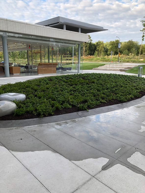 Modern outdoor courtyard with curved hedges, stone path, and a glass-roofed pavilion under a cloudy sky