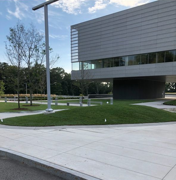 Modern office building beside a grassy lawn and sidewalk, with a streetlamp and trees nearby