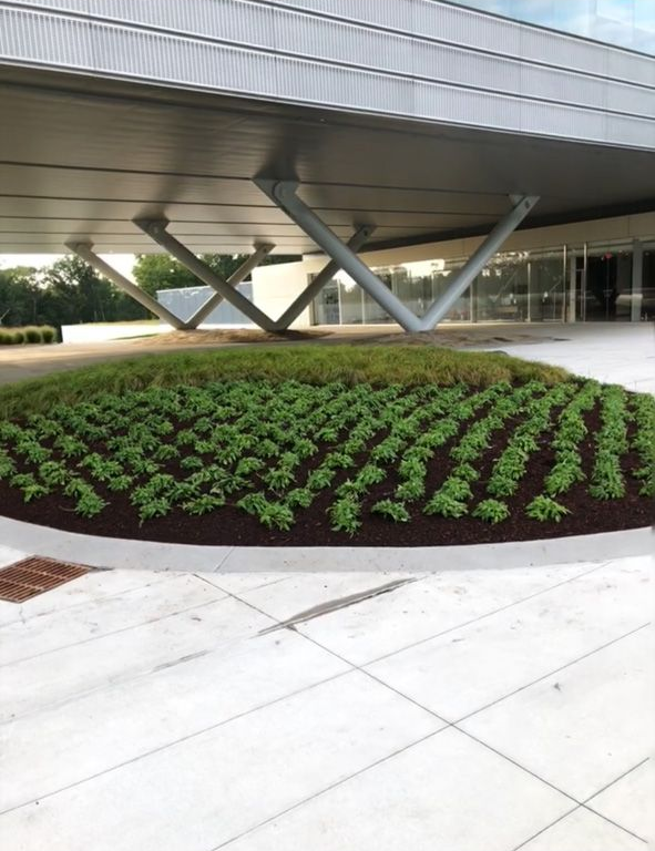Modern building entrance with a circular flower bed and geometric steel supports