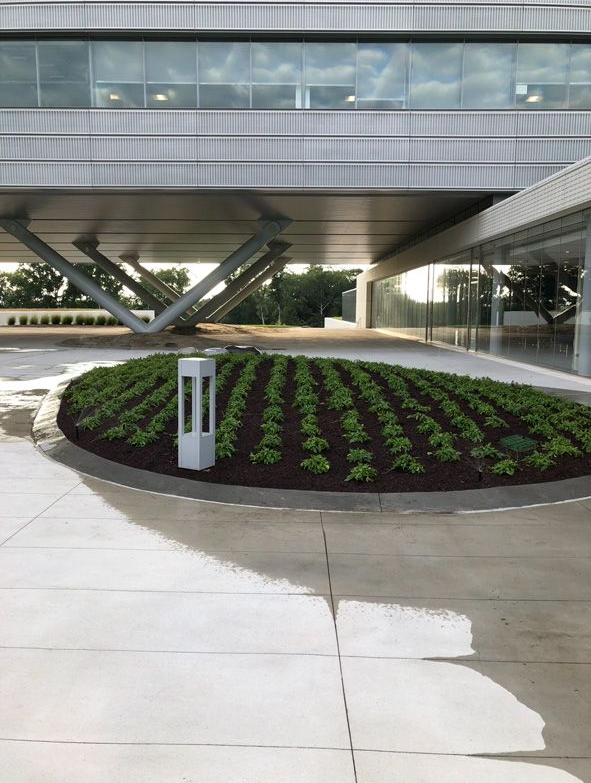 Modern building entrance with a circular flower bed and overhead walkway
