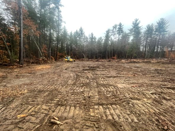 Cleared dirt lot bordered by bare trees and a forest under an overcast sky.