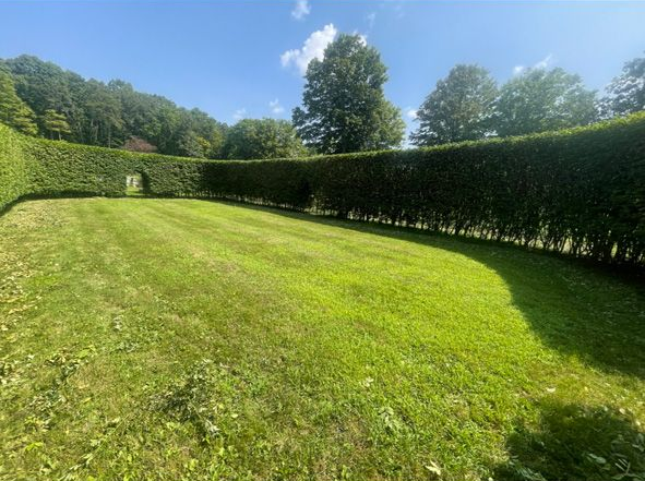 Sunny green lawn bordered by hedges and trees under a clear blue sky.